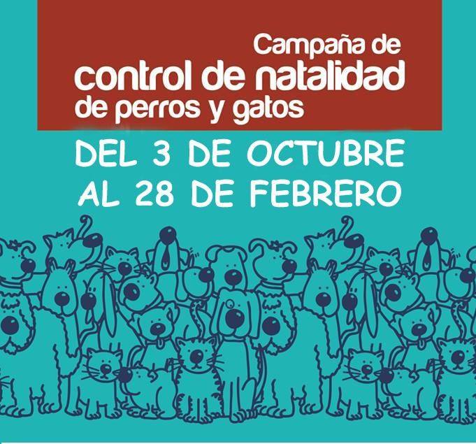 Campaña de Esterilización Canina. Últimos días.